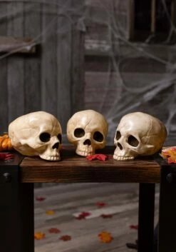 3 Piece Bag Of Skulls Decoration